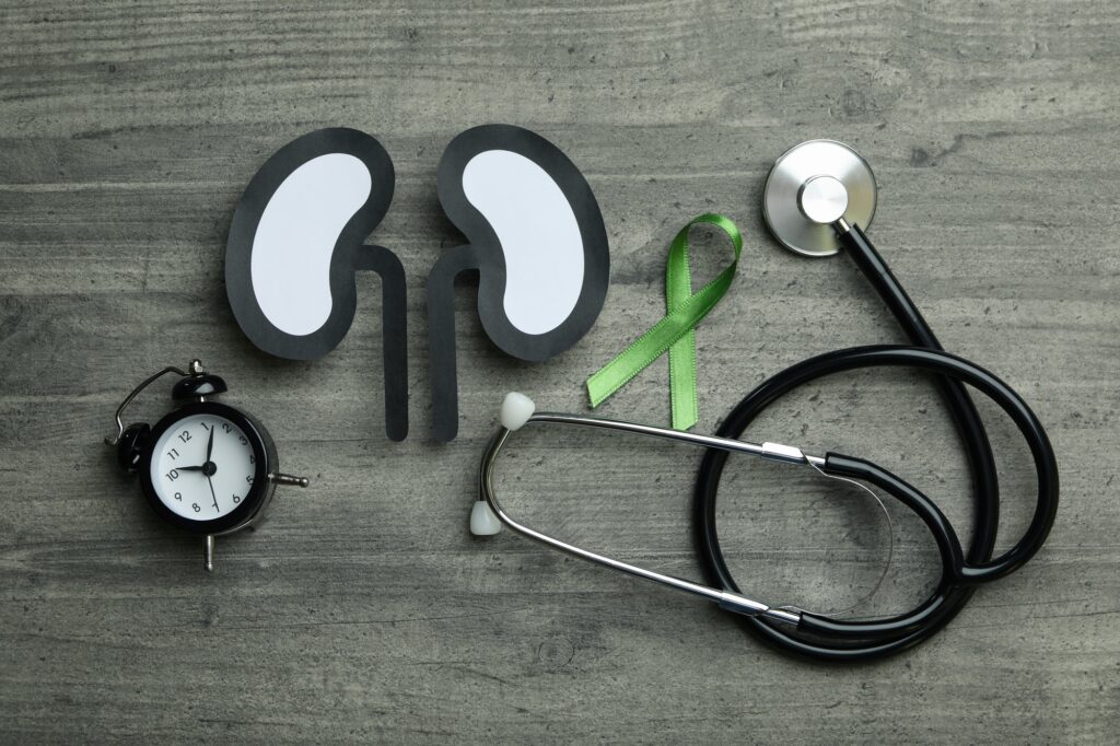 Paper kidneys, alarm, stethoscope and green awareness ribbon on gray background