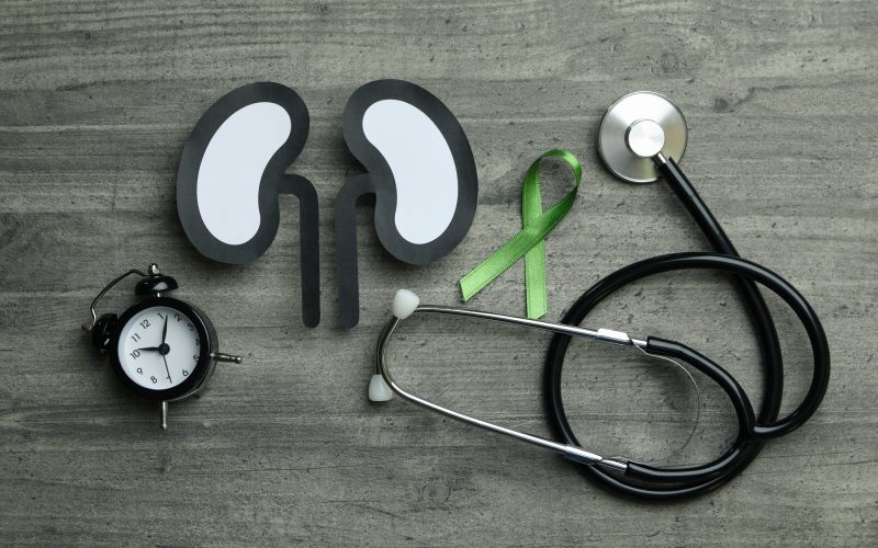 Paper kidneys, alarm, stethoscope and green awareness ribbon on gray background
